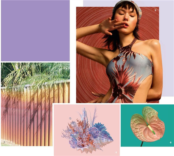 2019春夏女士泳装趋势预测 极佳触感