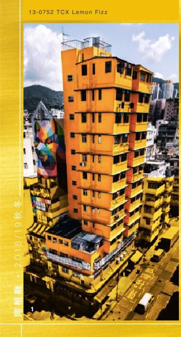 2018/19秋冬中国地区流行色彩：同相融