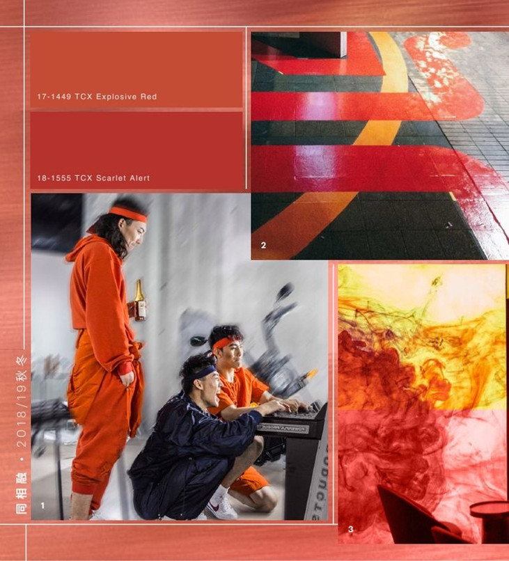 2018/19秋冬中国地区流行色彩：同相融