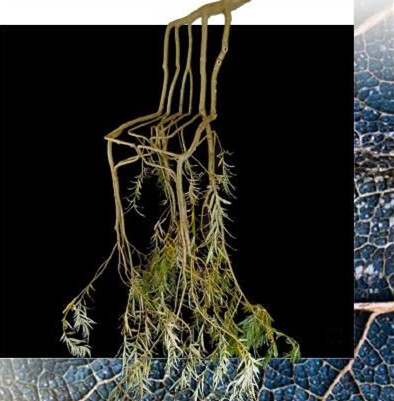 2019/20秋冬女士泳装奇愈趋势