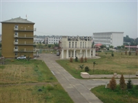 20138/20138201244193.jpg