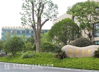 20149/20149201285020.jpg