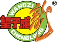 广州市望成龙发展有限公司