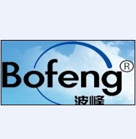 上海波峰电子有限公司