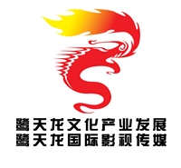 鹭天龙文化产业发展（香港）有限公司