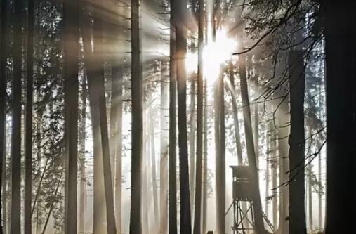 影响2017十大电商事件 互联网品牌如何升级？0.jpg