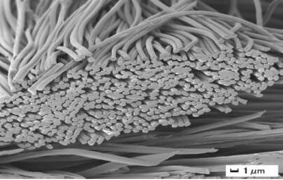 帝人推出新型优质面料“SOLOTEX Nanofiber”1.jpg